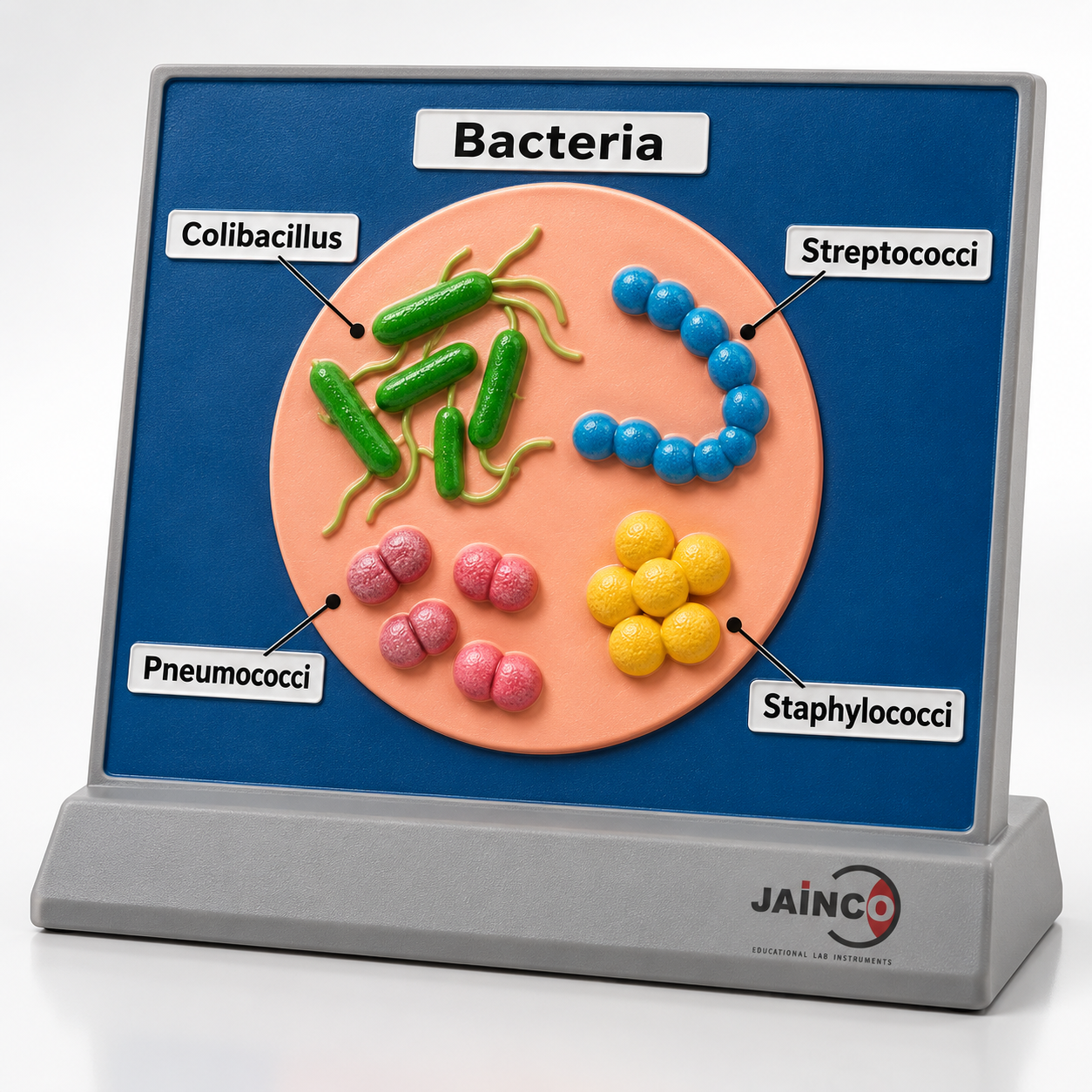 Bacteria Causing Sepsis Model
